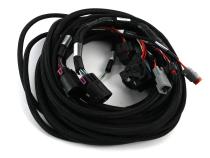 Rear Low Voltage VCU Harness Low voltage harness assembly designed to be installed in the rear half of the electric vehicle. AEM Electronics